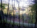 tehetseg-gondozo-04