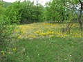 2-vitezlo-tura-valogatas-283