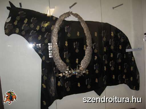 20100313-Kassai-kirandulas-Drotszamartura-026.JPG