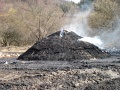 20100314-Elokeszulet-Varmento-Napok-02