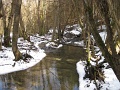 20100314-Elokeszulet-Varmento-Napok-04