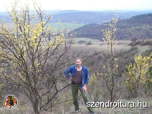 20100409-Z+festese-varboc-perkupa-04.JPG