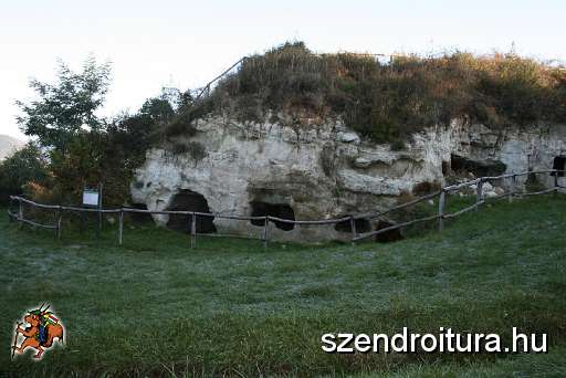 20101009-Less-Nandor-013.JPG