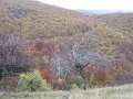 20101023-Nosztalgia-tura-Ferivel-9