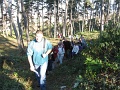 15-szkgy-2011