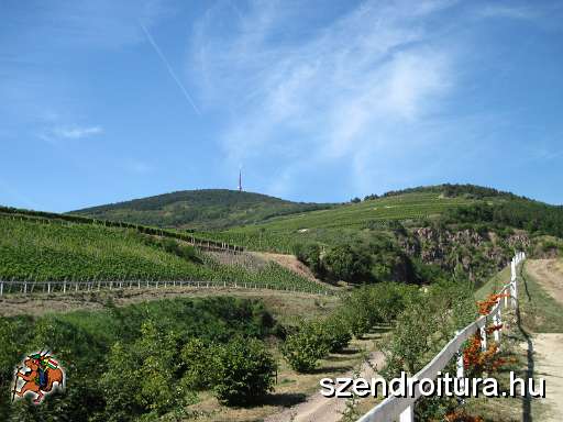 01-tokaji-bortura-tt-25km.jpg