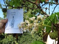 04-tokaji-bortura-tt-25km