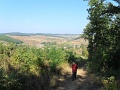 06-tompa-mihaly-tt-25km