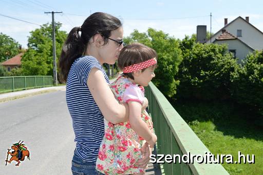 201706_termeszetjaros_hetvege_111.JPG