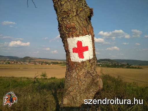 201709_jelzesfestes_40km_100.JPG