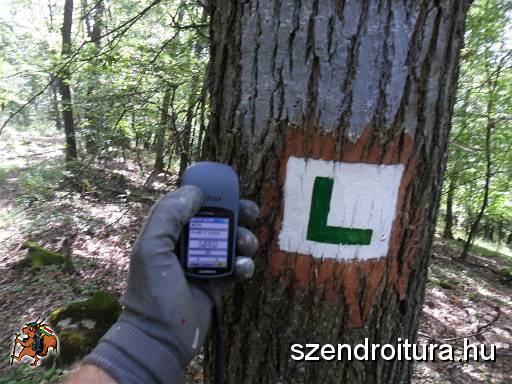 201709_jelzesfestes_40km_107.JPG