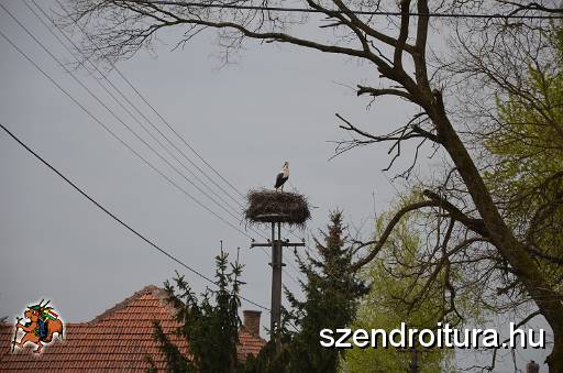 vitezlo_2017_best_of_5_111.jpg