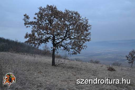 201803_vitezlo_elokeszito_107.JPG