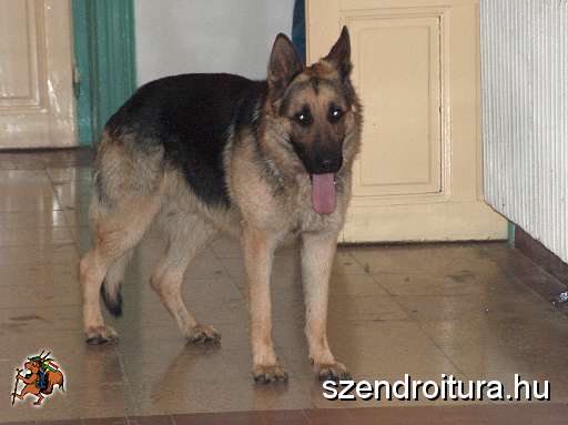 2-vitezlo-tura-valogatas-12.jpg