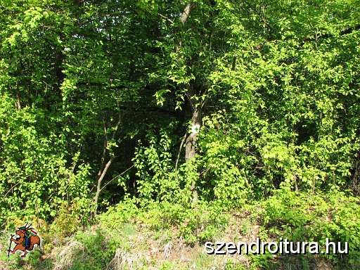 2-vitezlo-tura-valogatas-38.jpg