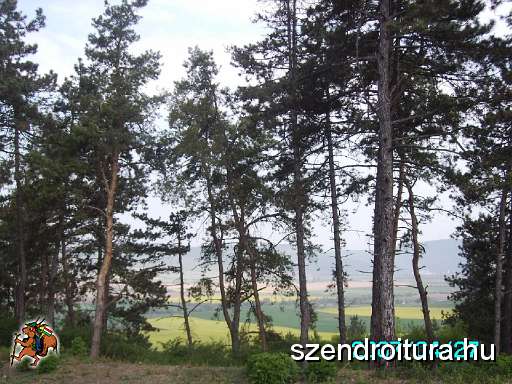 2-vitezlo-tura-valogatas-61.jpg