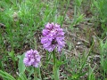 2-vitezlo-tura-valogatas-88