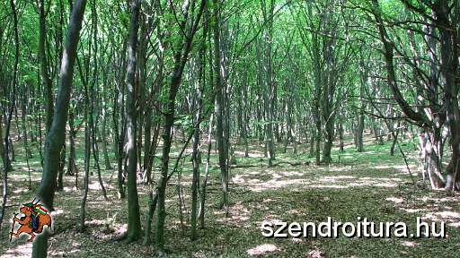 2-vitezlo-tura-valogatas-136.jpg