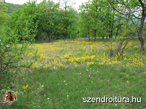 2-vitezlo-tura-valogatas-149.jpg