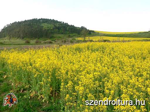 2-vitezlo-tura-valogatas-278.jpg