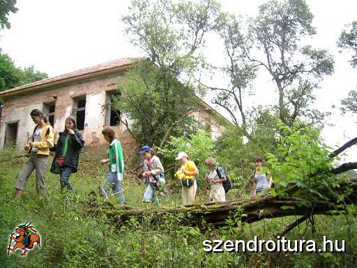 miskolci-diakok-019.JPG