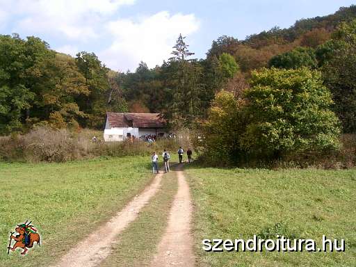 less-nandor-tt-02.JPG