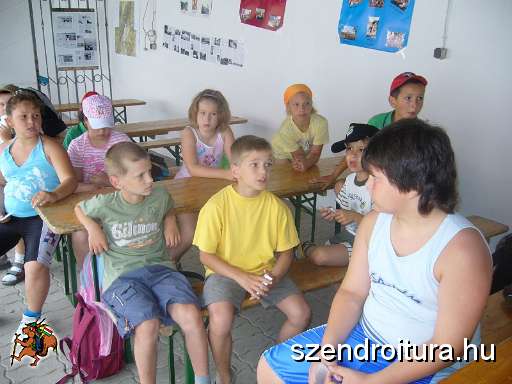 zold-sportok-07.jpg