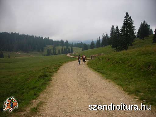 16-Padis-fennsik.JPG