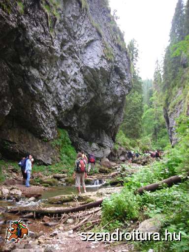 20-Fortuna-liget-fele.JPG