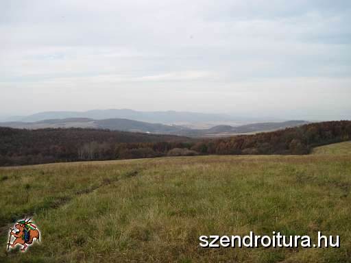 2010-2011-Bejaras-2.jpg