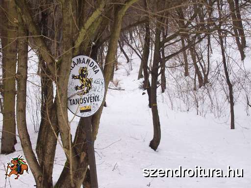 20100213-Barcika-tt-06.JPG