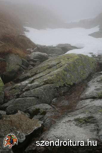 20100925-Krivan-012.jpg