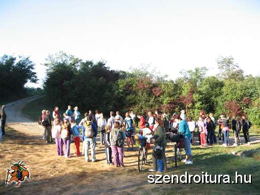 14-szkgy-2011.jpg