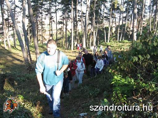 15-szkgy-2011.jpg