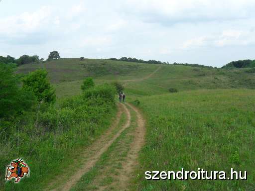 20120603-Kohasz-kek-TT-32km-113.JPG