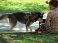 7-Vitezlo-2012-album-0531