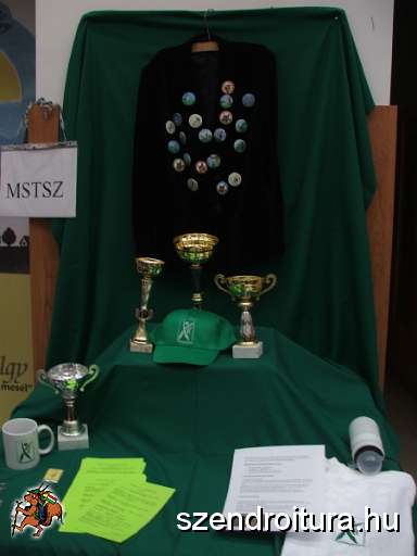 8-vitezlo-2013-album3-012.JPG