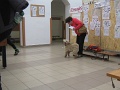 8-vitezlo-2013-album3-026