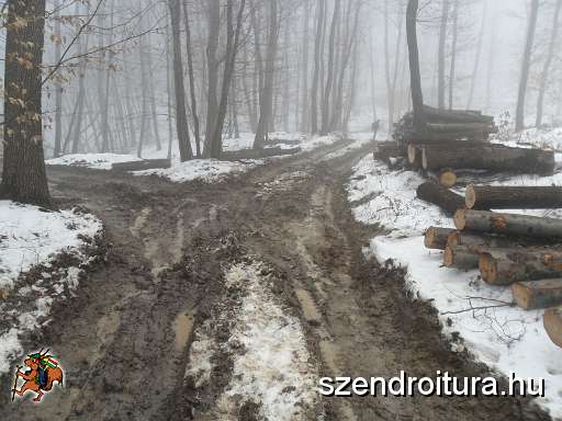 02-barcika-tt.JPG