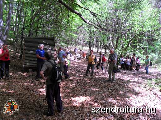 4-bukki-forrasok-2013.JPG