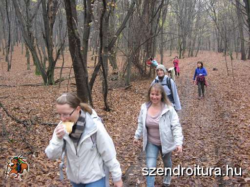 101-Foiskolas-tura-20131111.JPG