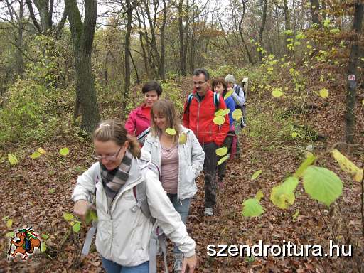 102-Foiskolas-tura-20131111.JPG