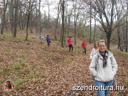103-Foiskolas-tura-20131111.JPG