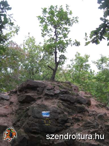 108-OKT-Dobogoko-2013-09-23-24.JPG