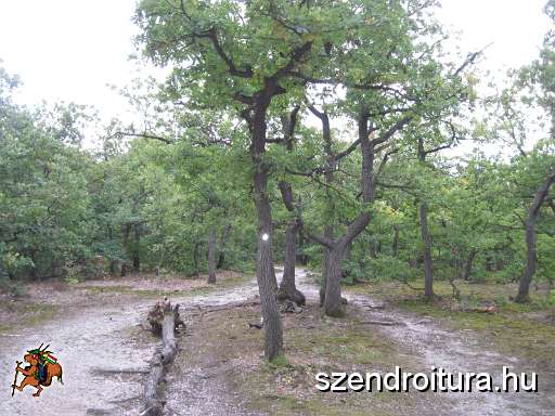 109-OKT-Dobogoko-2013-09-23-24.JPG