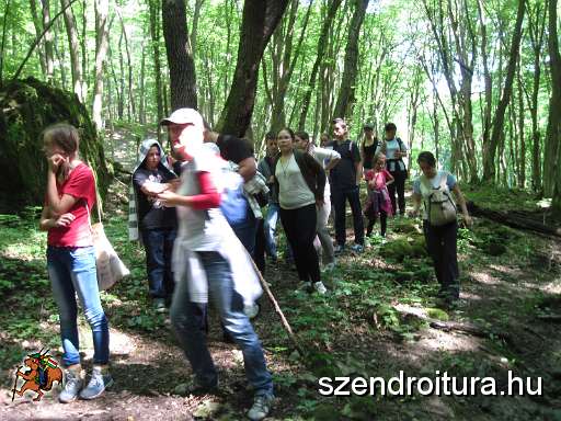 101-Szederinda-tabor-2013-07-04.JPG