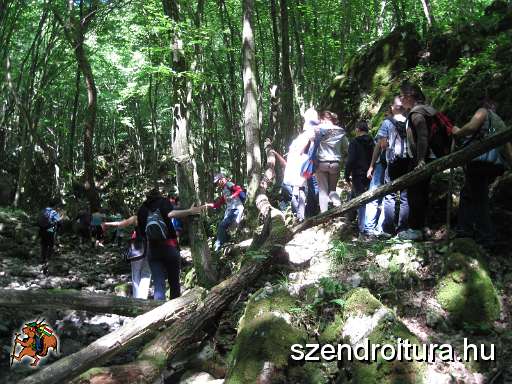 103-Szederinda-tabor-2013-07-04.JPG