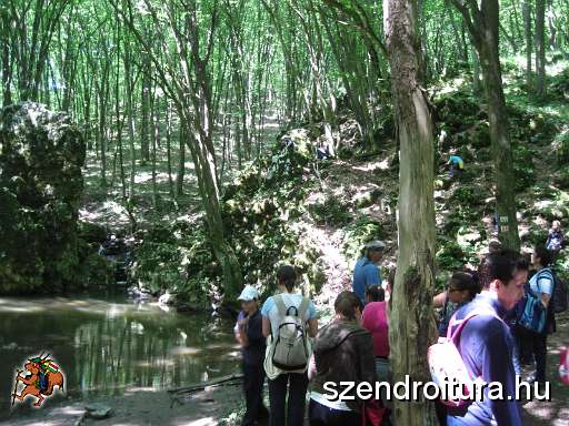 104-Szederinda-tabor-2013-07-04.JPG