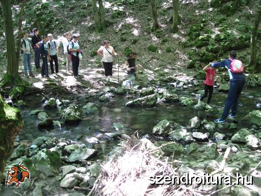 105-Szederinda-tabor-2013-07-04.JPG
