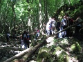 103-Szederinda-tabor-2013-07-04